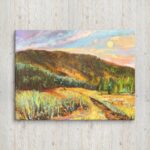 Canvas