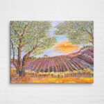 Vineyard Dawn