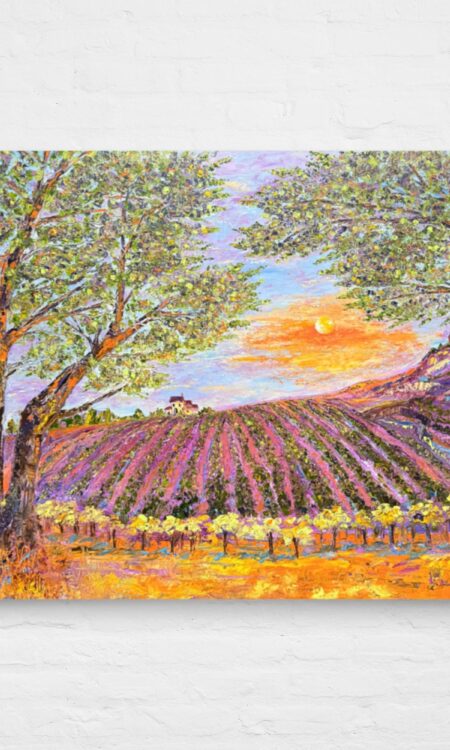 Vineyard Dawn (Fine Art Print)