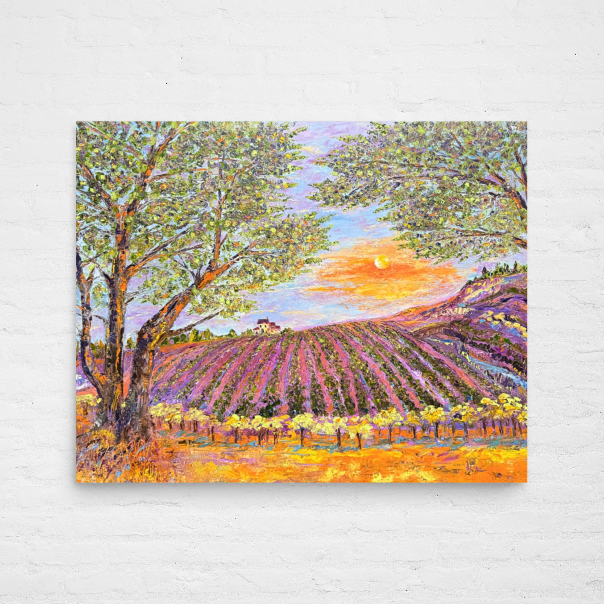 Vineyard Dawn (Fine Art Print)