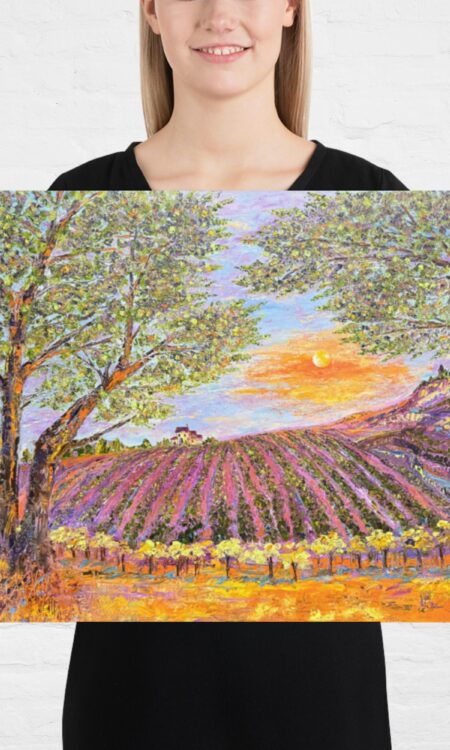 Vineyard Dawn